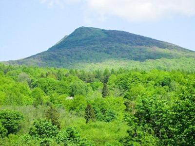 Caloroczne Domki Zacisze Hnatowego Berda W Wetlinie Ветлина Экстерьер фото